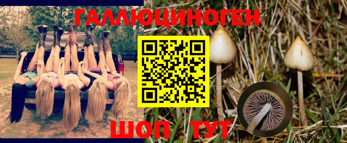 Галлюциногенные грибы мицелий Верхняя Пышма