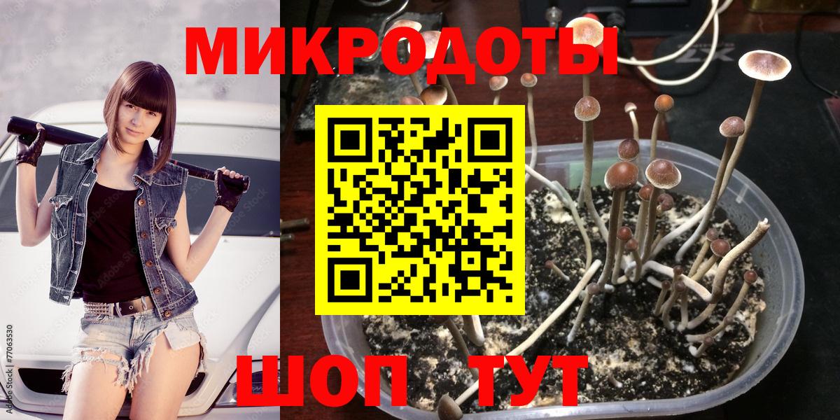 Галлюциногенные грибы Верхняя Пышма